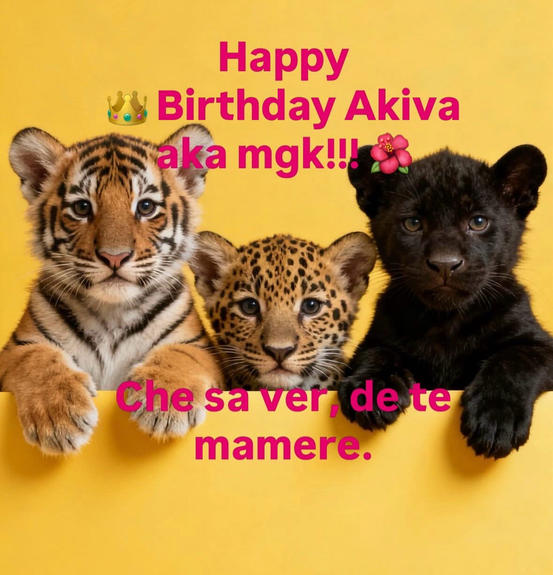 Alles Gute Akiva aka mgk zum Geburtstag